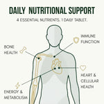 Anupurak D3+K2(MK-7)+B12 with Omega-3 from Algal Tablet (120 Each)