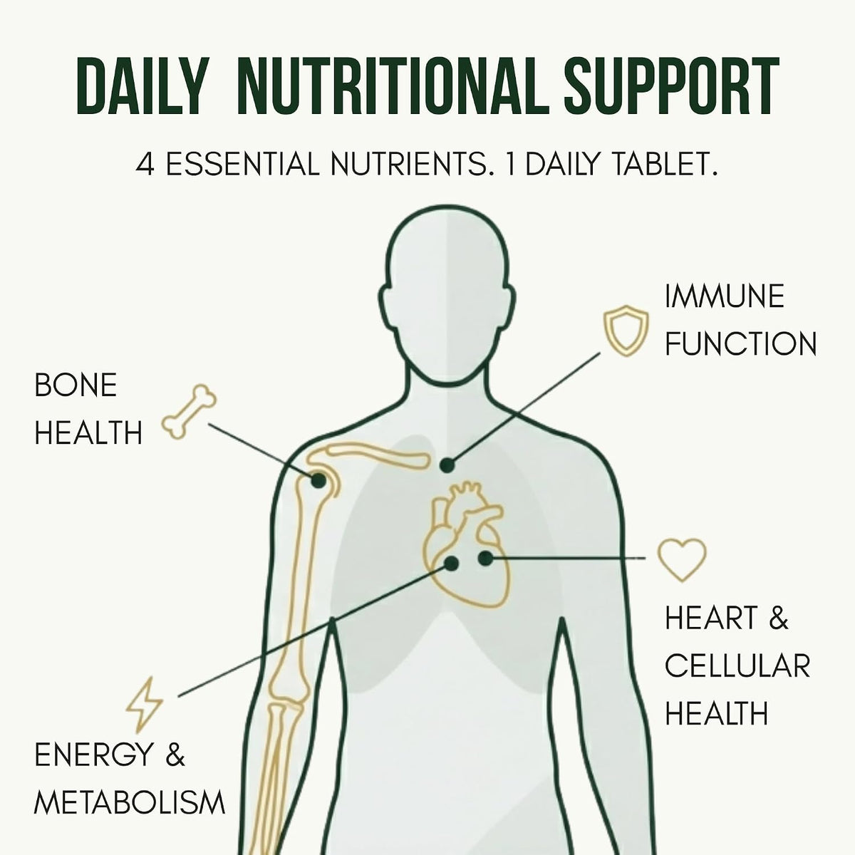 Anupurak D3+K2(MK-7)+B12 with Omega-3 from Algal Tablet (120 Each)