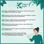 Kelifta by Feelgood Kefir® - Combo of LIVE Large Sized Milk Kefir Grains (15 Grams) & Water Kefir Grains (50 Grams) | Lifetime Reusable & Multiplying