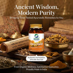 Organic Wellness Daru Haldi Capsules - 90 Vegetarian Capsules