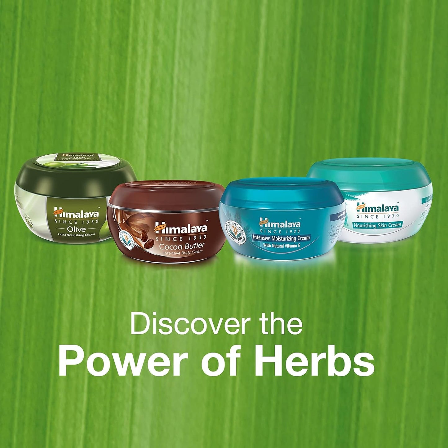 Himalaya Nourishing Skin Cream | Lightweight & Non-Greasy - 50gm