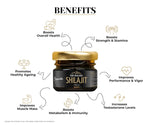Arogyasiddhi Pure Himalayan Shilajit Resin | 75% Fulvic Acid | Lab Tested Quality Guaranteed | 20 g