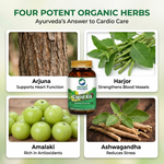 Organic Wellness Lipid-Fit Capsules - 90 Capsules