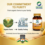 Organic Wellness Cinnamon Capsules -  90 Vegetarian Capsules