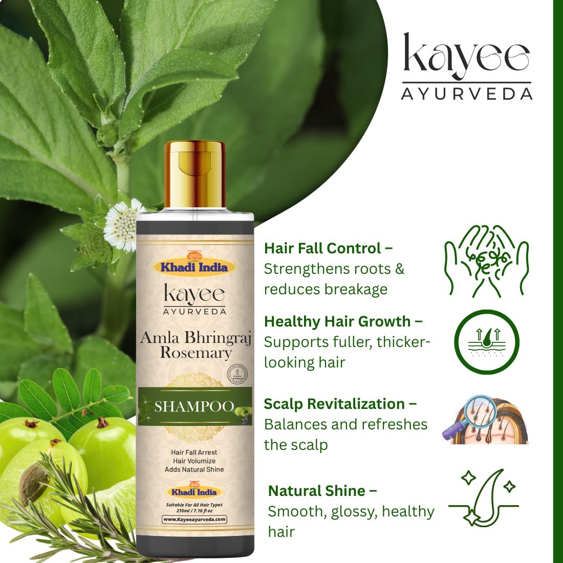 Kayee Ayurveda Amla Bhringraj Rosemary Shampoo for Men & Women | Herbal Hair Cleanser with Amla, Bhringraj & Rosemary | Helps Cleanse Scalp, Condition Hair, Improve Texture, Reduce Dryness & Maintain Healthy-Looking Hair | 210 ml
