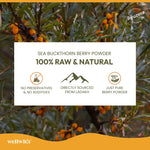 WellWith Sea Buckthorn Natural Dry Berry Powder (100g)
