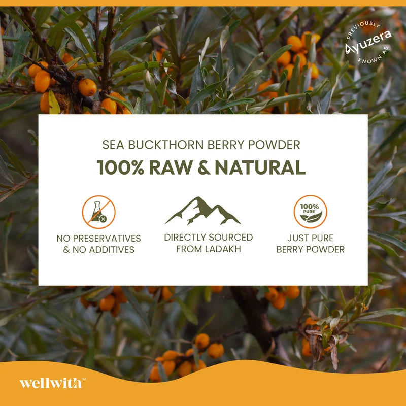 WellWith Sea Buckthorn Natural Dry Berry Powder (100g)