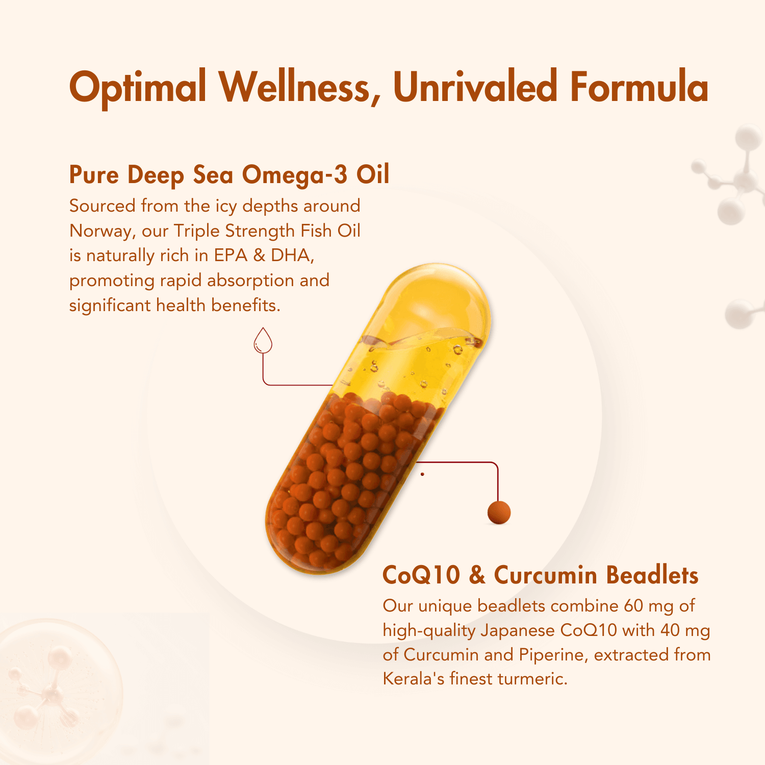 Wishnew Wellness Daily Ritual 3x Omega's & CoQ 10 Liquid Filled Capsule