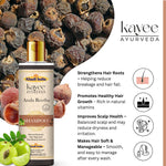 Kayee Ayurveda Amla Reetha Hair Shampoo for Strong & Healthy-Looking Hair | Herbal Shampoo for Scalp & Hair Care | Amla & Reetha Formula for Gentle Cleansing, Hair Conditioning, Softness & Healthy-Looking Shine | 210 ml