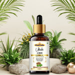Khadi Ajwain Essential Oil | Pure & Natural Ajwain Oil for Body & Wellness Care | Herbal Essential Oil for Digestive Wellness, Massage & Relaxation | Aromatherapy Oil | 15 ml