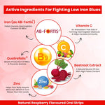 HealthAid Fe Max ThiSolves Disintegrating Strip Natural Raspberry Sugar Free - 30 Oral Strip