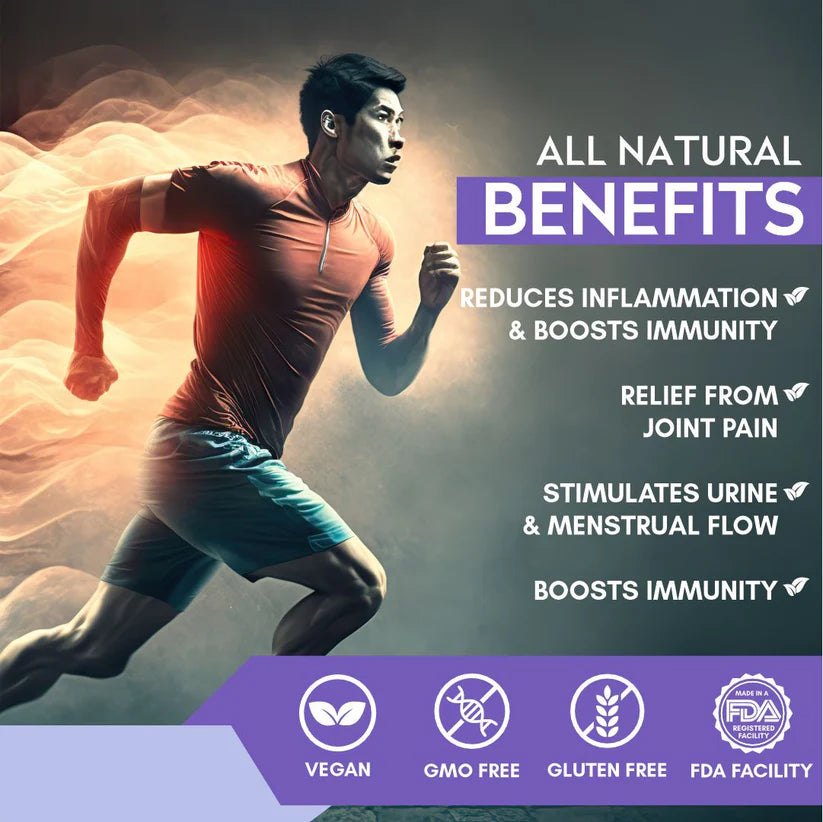 Vitaminnica Boswellia Serrata 2500mg - Joint Comfort & Mobility Support, 60 Vegan Capsules