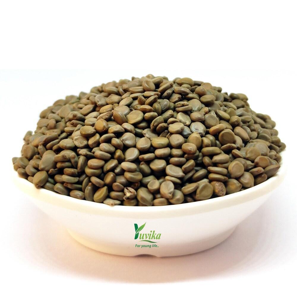 YUVIKA Beej Kasondi - Kasundi - Kasamarda Cassia Occidentalis