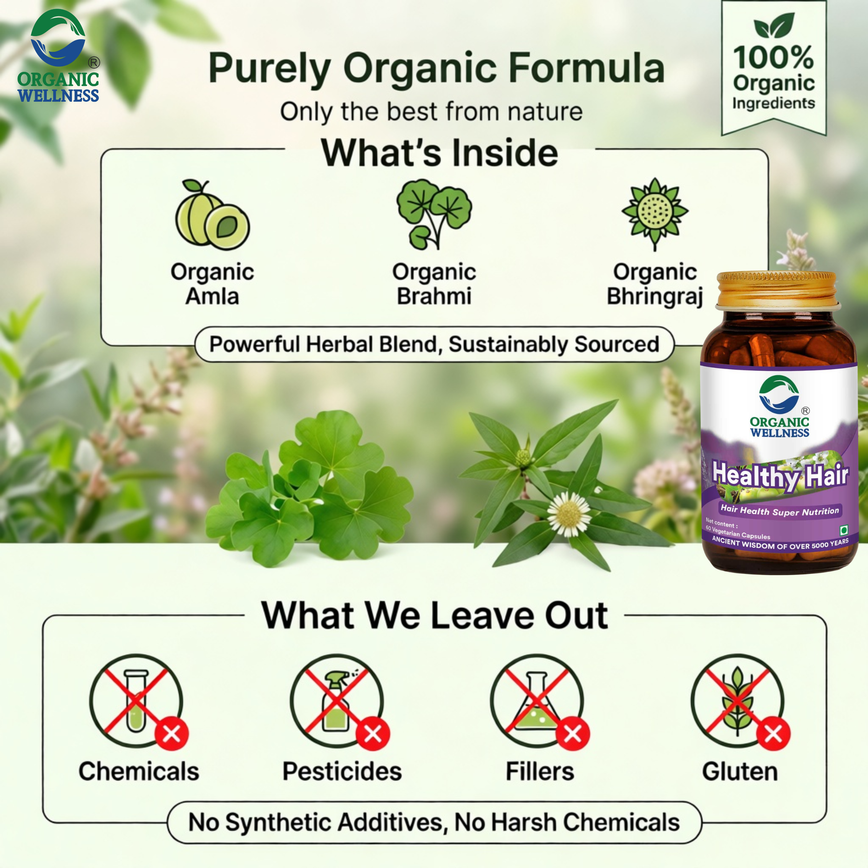 Organic Wellness Healthy Hair Capsules -  90 Vegetarian Capsules