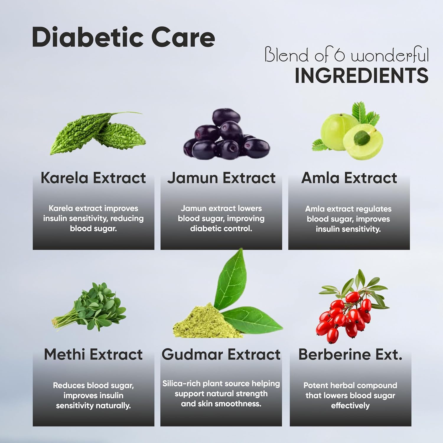 Vitaminnica Diabetic Support- Manages Blood Sugar Levels, Control Diabetes