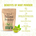 Shuddh Natural Mint powder - 100gm