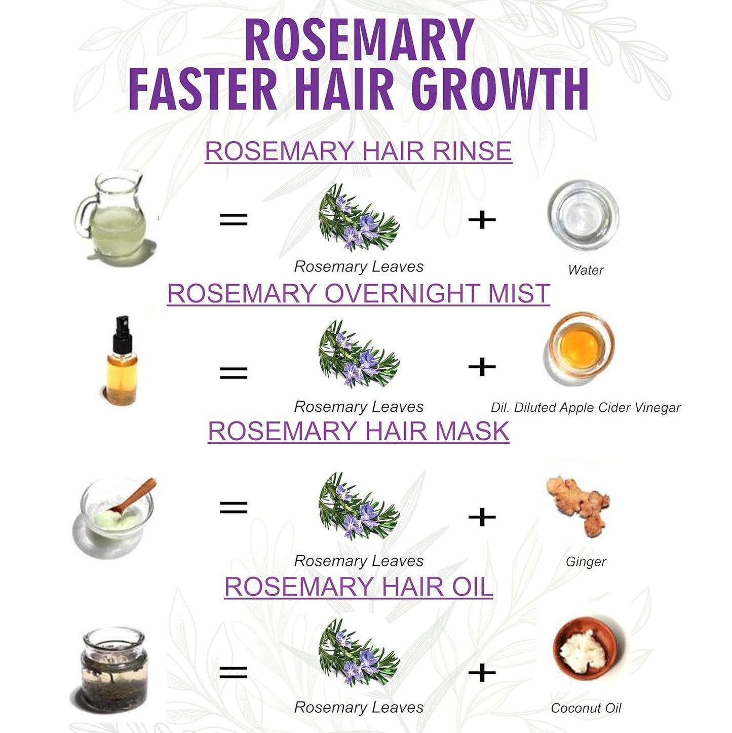 Shuddh Natural Rosemary Leaves I Hair Growth I Tea I Skin I 85 Gms