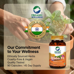 Organic Wellness Diabo-Fit Capsules - 90 Capsules