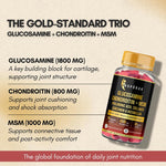 Anupurak Glucosamine Chondroitin+MSM Tablet (90 Each)