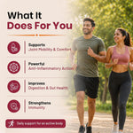 Pure Nutrition Liposomal Curcumin with Ginger Extract, 30 Capsules | Antioxidant & Joint Support