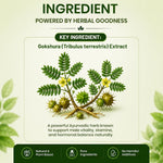 Pure Nutrition Gokshura Tablets (250mg | 90 Tablets)