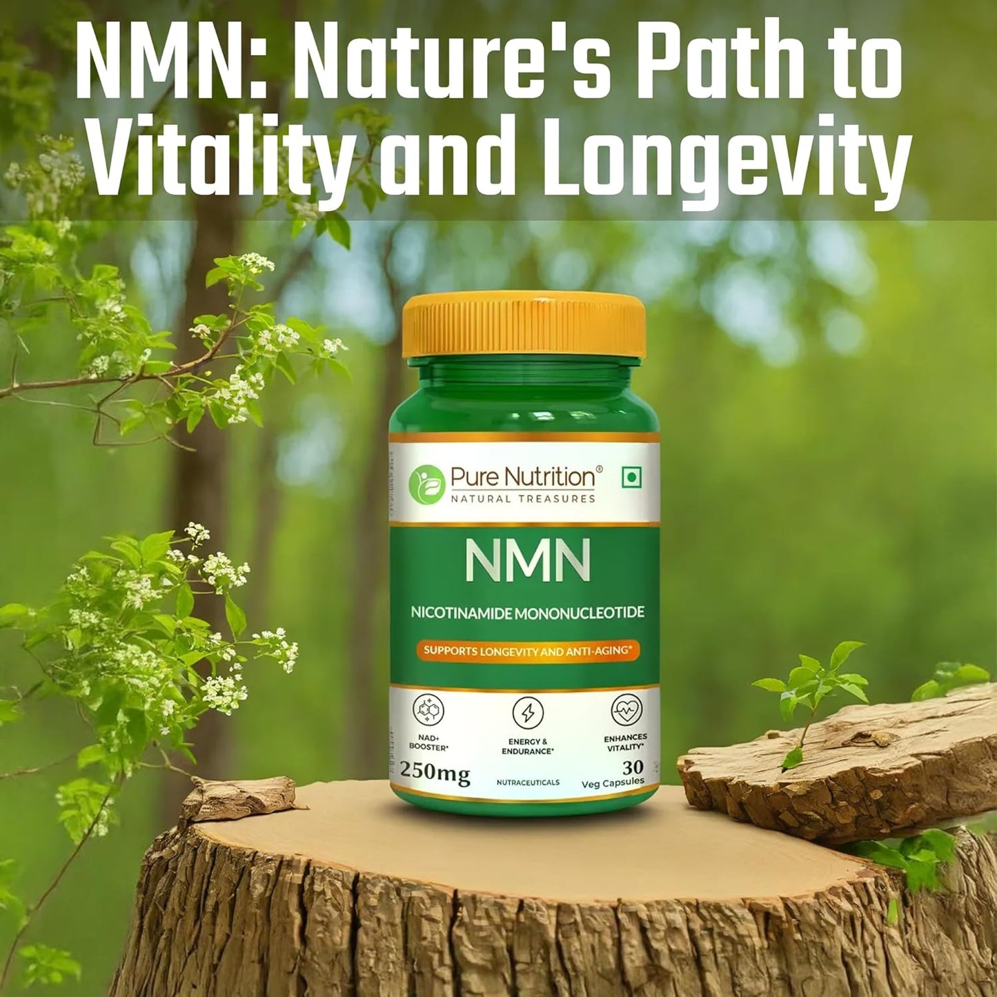 Pure Nutrition NMN, Nicotinamide Mononucleotide Capsules (250mg), Supports Longevity & Metabolism | Boosts NAD+ | Supports Healthy Aging & Increases Energy Levels - 30 Veg Capsules