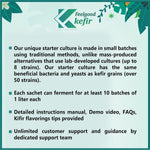 Kelifta by Feelgood Kefir® Milk Kefir Starter Culture Powder | 1 Pack - 5 Sachets | 60+ Live & Active Strains | Ferments 60+ Litres | For Dairy & Plant-Based Milk | Manual, Demo Video & Support