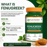 Pure Nutrition Fenugreek Extract 1200mg, 120 Capsules | Herbal Supplement for Digestive & Wellness Support