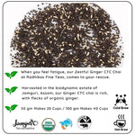 Radhikas Fine Teas Anti - Inflammatory Ginger Chai - Promote Wellness & Reduce Inflammation - 100gm