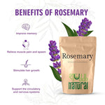 Shuddh Natural Rosemary Leaves I Hair Growth I Tea I Skin I 85 Gms