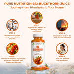 Pure Nutrition Sea Buckthorn Concentrate Juice 500ml | Antioxidant & Wellness Support