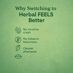 Royal Swag Ayurvedic Herbal Wellness Sticks Paan Flavour - 100% Tobacco & Nicotine Free (10 Sticks)