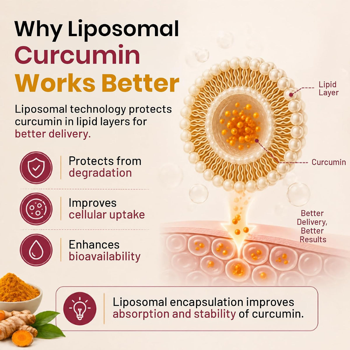 Pure Nutrition Liposomal Curcumin with Ginger Extract, 30 Capsules | Antioxidant & Joint Support