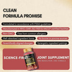 Anupurak Glucosamine Chondroitin+MSM Tablet (90 Each)