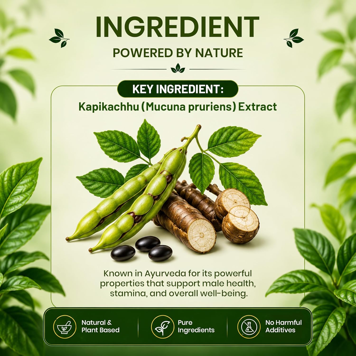 Pure Nutrition Kapikachhu Tablets (250mg | 90 Tablets)
