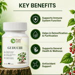 Pure Nutrition Guduchi Tablets (250mg | 90 Tablets)
