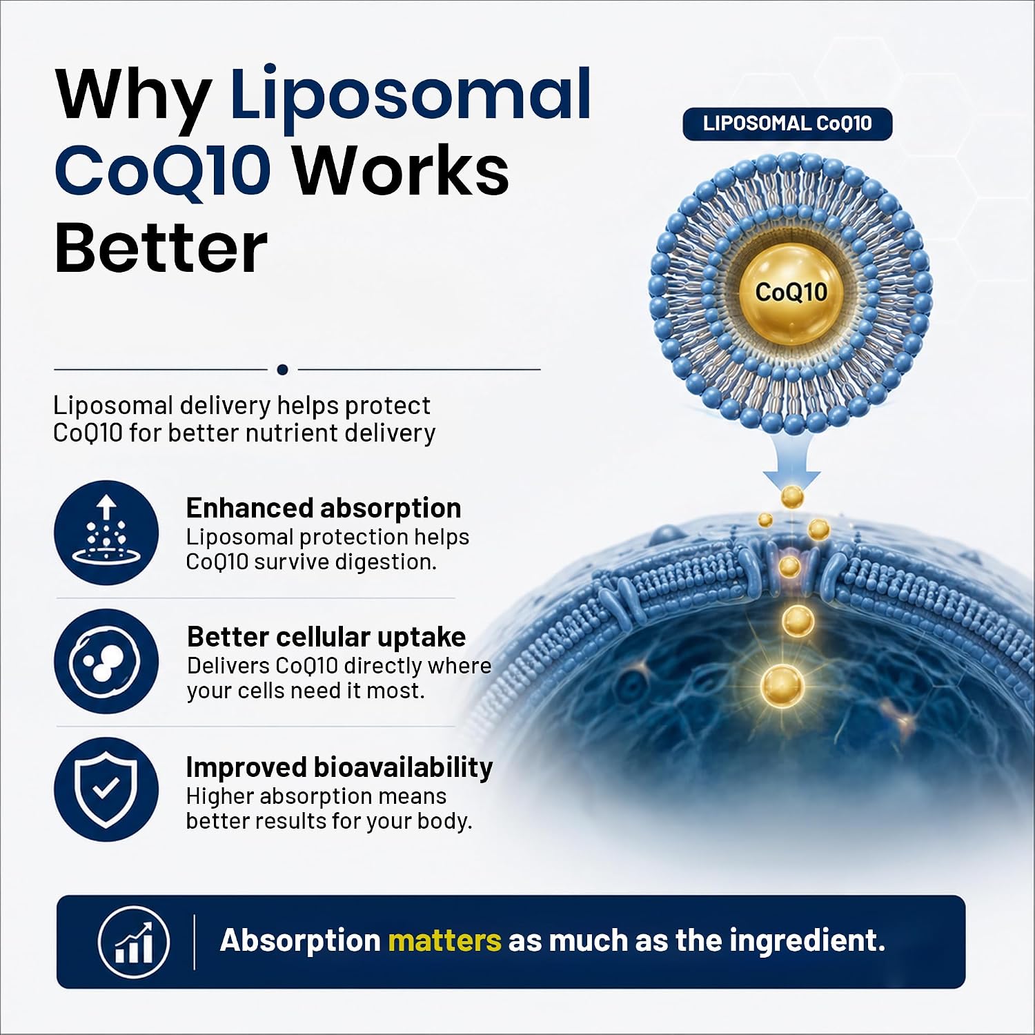 Pure Nutrition Liposomal CoQ10 300mg (30%), 30 Capsules | Heart & Energy Support Supplement