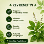 Pure Nutrition Tulsi Tablets (250mg | 90 Tablets)