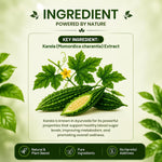 Pure Nutrition Karela Tablets (250mg | 90 Tablets)