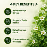 Pure Nutrition Brahmi Tablets (250mg | 90 Tablets)