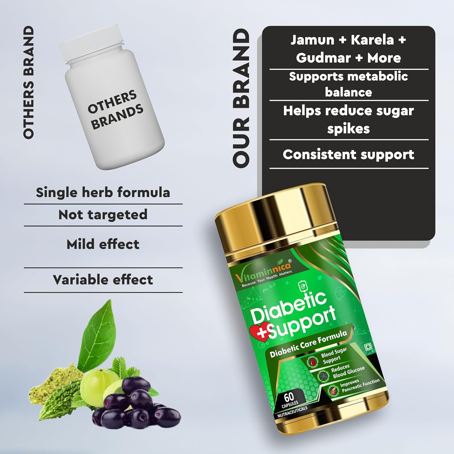 Vitaminnica Diabetic Support- Manages Blood Sugar Levels, Control Diabetes