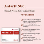Millennium Herbal Care Antarth Soft Gelatin Capsule (60 Each)