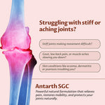 Millennium Herbal Care Antarth Soft Gelatin Capsule (60 Each)