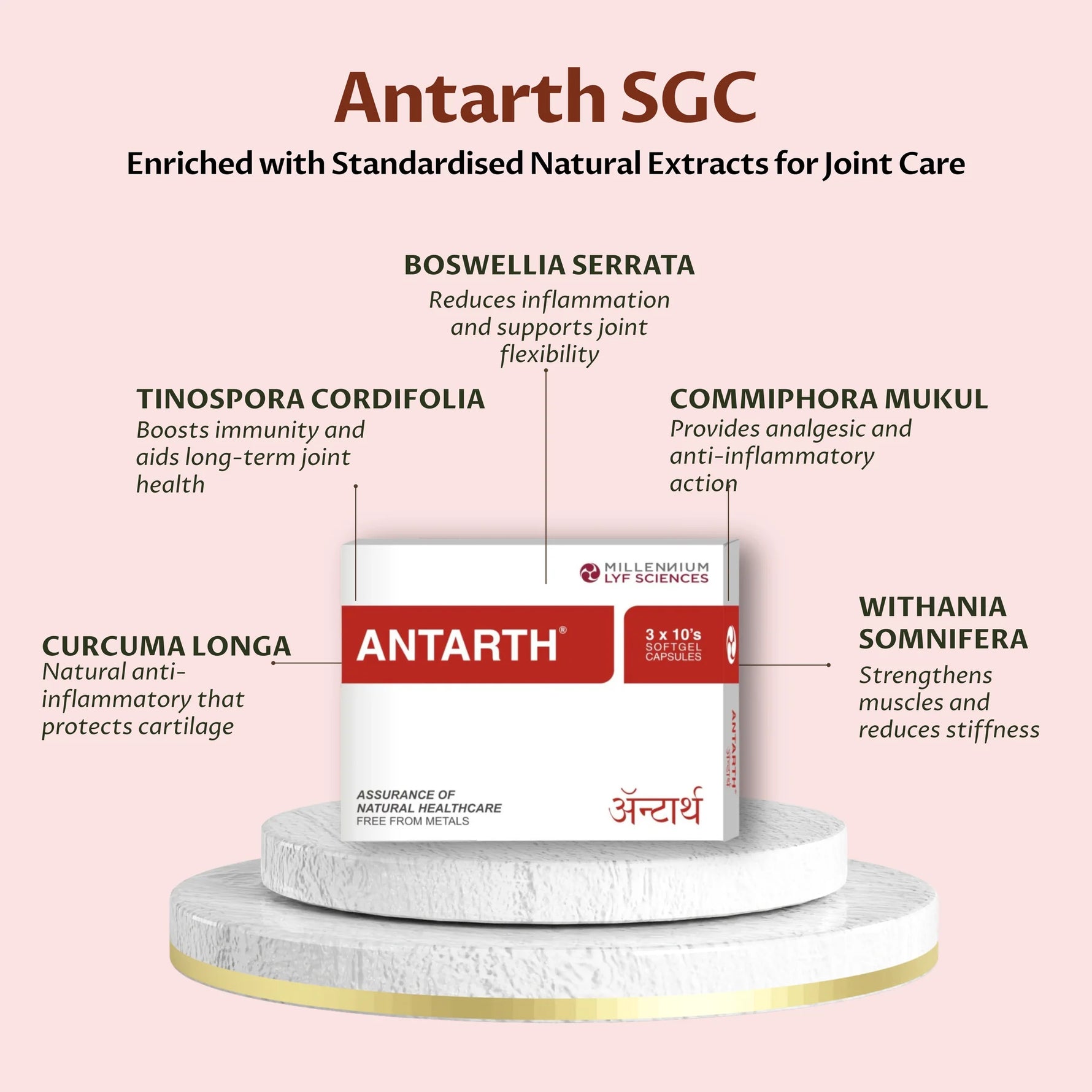 Millennium Herbal Care Antarth Soft Gelatin Capsule (60 Each)