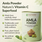 Pure Nutrition Natural Amla Powder – Indian Gooseberry Powder for Hair, Skin & Wellness Care – 100g