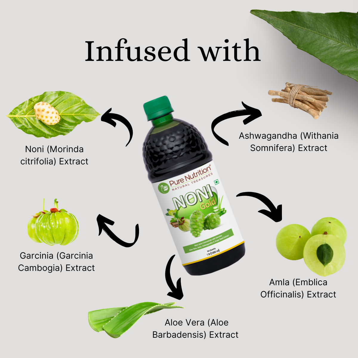 Pure Nutrition Noni Gold Detox Juice 1L | With Garcinia, Aloe Vera, Amla, Ashwagandha & Grape Seed Extract | Supports Diabetes Care, Digestion, Immunity & Skin Health