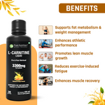 Pure Nutrition L-Carnitine Liquid 3300mg – 450ml | Valencia Orange Flavour | Pre & Post Workout Supplement for Men & Women | Supports Fat Metabolism, Energy & Performance | Sugar-Free