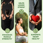 Pure Nutrition Organic Ashwagandha Tablets | 180 Veg Tablets | Supports Stress Relief, Sleep, Fertility, Immune Health, Vitality & Strength | Natural Adaptogen for Men & Women | Promotes Energy & Overall Wellness | Ayurvedic Supplement