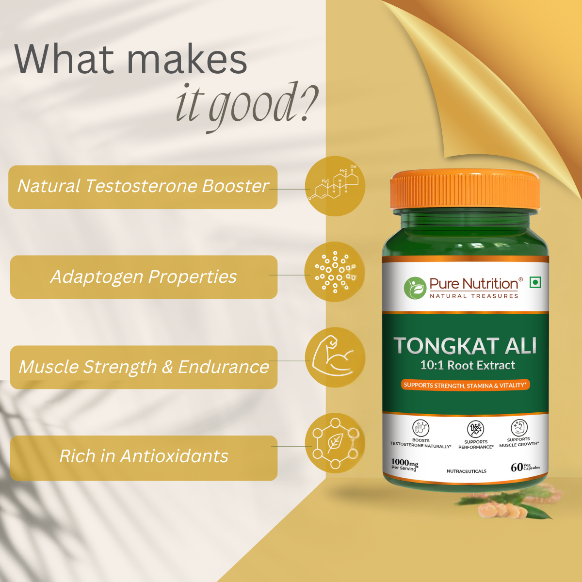 Pure Nutrition Organic Tongkat Ali 1000mg | 60 Veg Capsules | Supports Male Wellness | Boosts Energy, Immunity & Stamina | Enhances Stress Tolerance | Natural Herbal Supplement | Gluten-Free