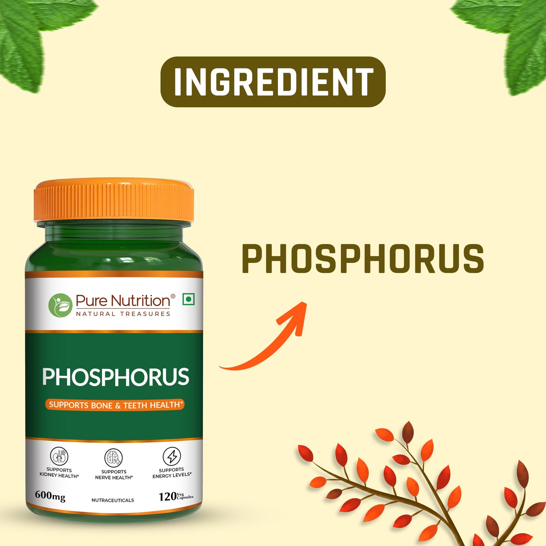 Pure Nutrition Phosphorus 600mg – 120 Veg Capsules | Supports Bone & Teeth Health | Kidney, Nerve & Energy Support | Daily Mineral Supplement for Men & Women